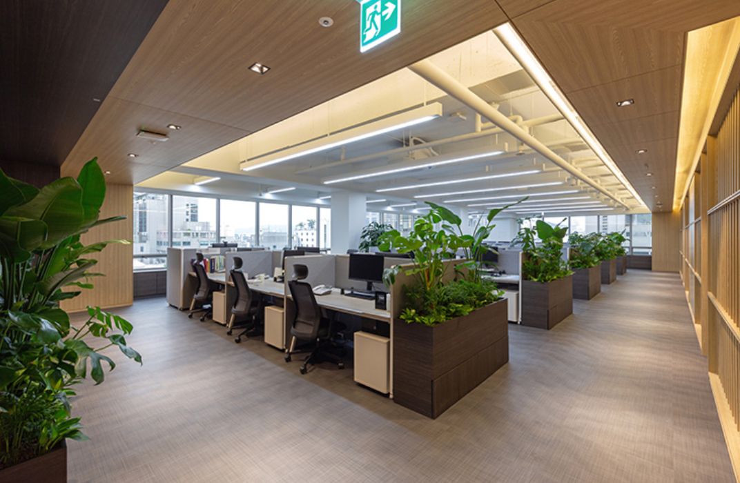 Top 40+ cây xanh văn phòng dễ sống, lọc không khí cực tốt cho môi trường làm việc