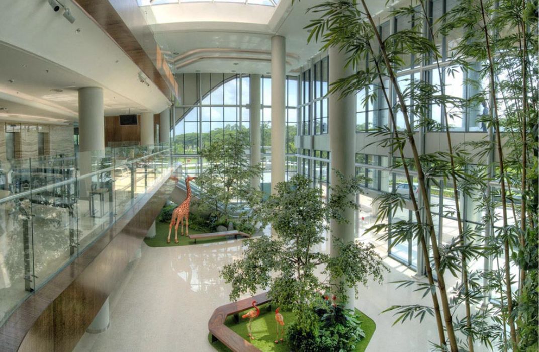 Cách chăm sóc tiểu cảnh văn phòng đơn giản giúp cây luôn tươi tốt, không bị úng héo