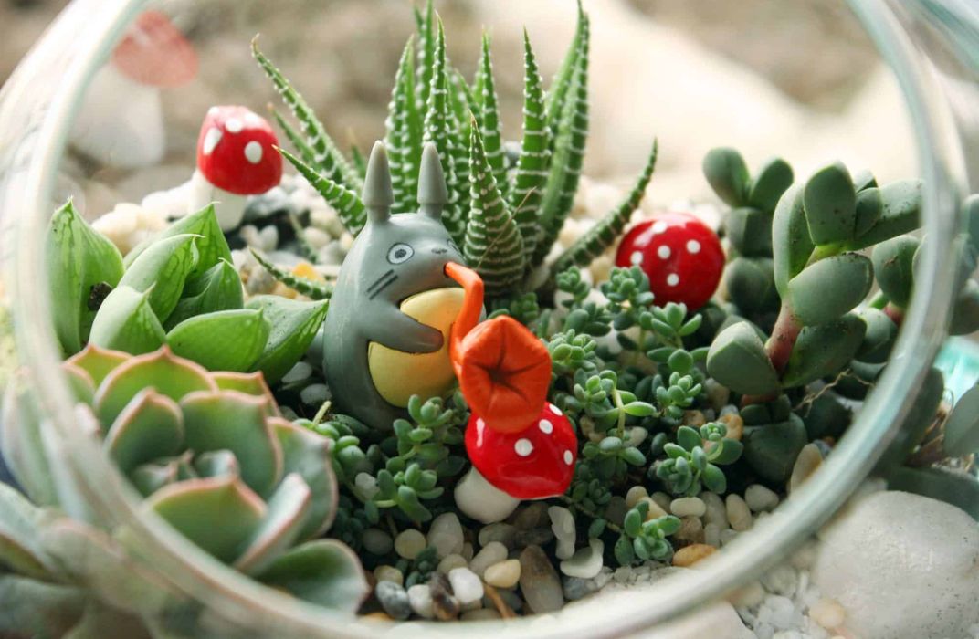 Cách chăm sóc tiểu cảnh văn phòng đơn giản giúp cây luôn tươi tốt, không bị úng héo