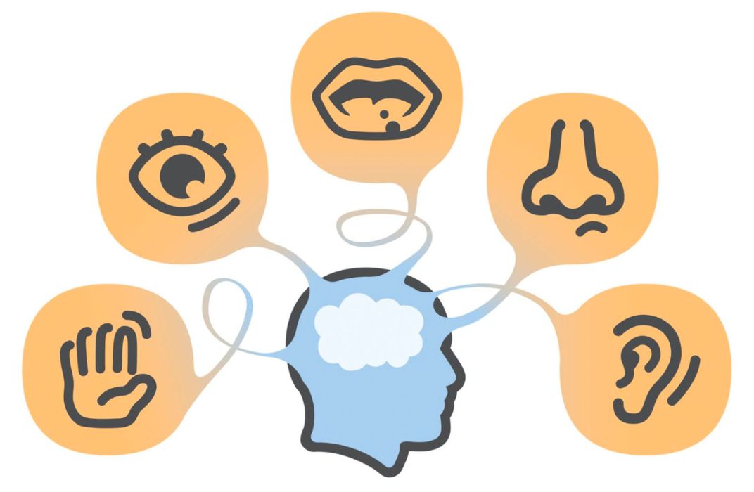 Kỹ năng quan sát là gì? Hướng dẫn rèn luyện & Bài test